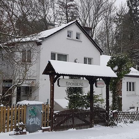 Hotel Kronberg Kronberg im Taunus Exterior foto